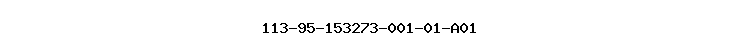 113-95-153273-001-01-A01