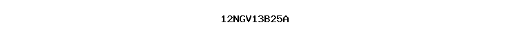 12NGV13B25A