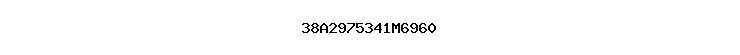 38A2975341M6960