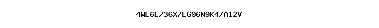 4WE6E736X/EG96N9K4/A12V
