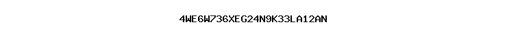 4WE6W736XEG24N9K33LA12AN