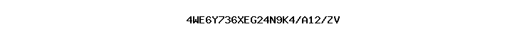 4WE6Y736XEG24N9K4/A12/ZV