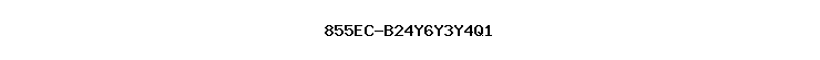 855EC-B24Y6Y3Y4Q1