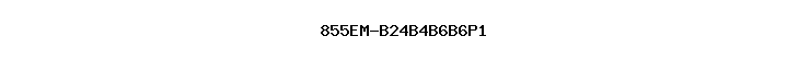 855EM-B24B4B6B6P1