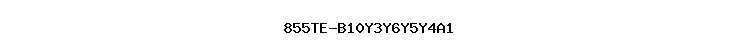 855TE-B10Y3Y6Y5Y4A1