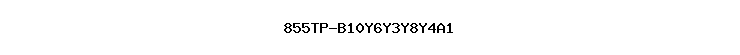 855TP-B10Y6Y3Y8Y4A1