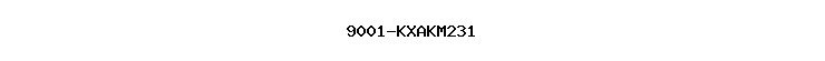 9001-KXAKM231