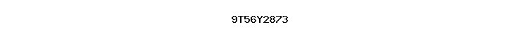 9T56Y2873