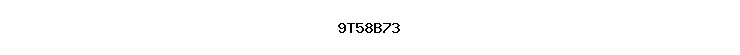 9T58B73