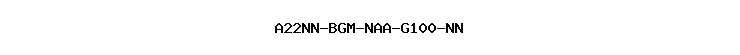 A22NN-BGM-NAA-G100-NN