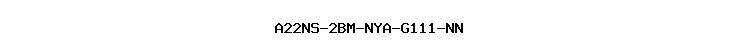 A22NS-2BM-NYA-G111-NN