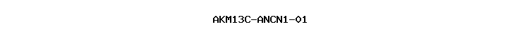 AKM13C-ANCN1-01