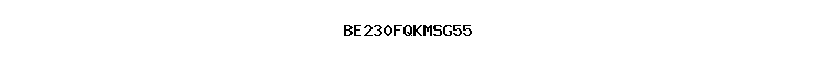 BE230FQKMSG55