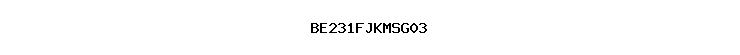 BE231FJKMSG03