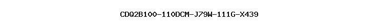 CDQ2B100-110DCM-J79W-111G-X439