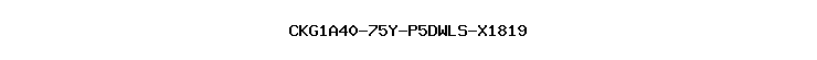 CKG1A40-75Y-P5DWLS-X1819