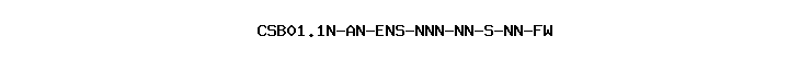 CSB01.1N-AN-ENS-NNN-NN-S-NN-FW