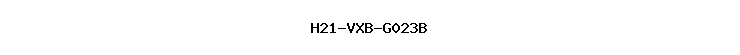H21-VXB-G023B