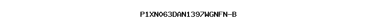 P1XN063DAN1397WGNFN-B