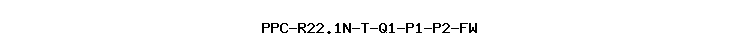 PPC-R22.1N-T-Q1-P1-P2-FW