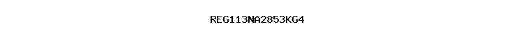 REG113NA2853KG4