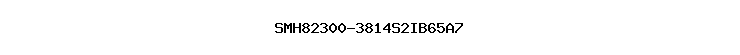 SMH82300-3814S2IB65A7