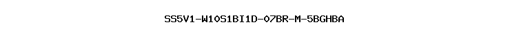 SS5V1-W10S1BI1D-07BR-M-5BGHBA