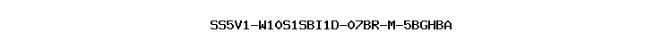 SS5V1-W10S1SBI1D-07BR-M-5BGHBA