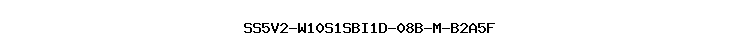 SS5V2-W10S1SBI1D-08B-M-B2A5F