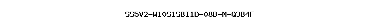 SS5V2-W10S1SBI1D-08B-M-Q3B4F