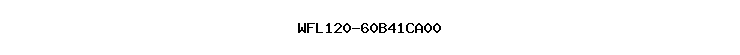 WFL120-60B41CA00