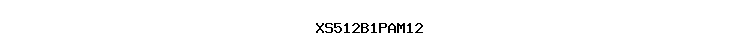 XS512B1PAM12