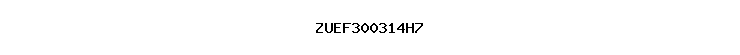 ZUEF300314H7